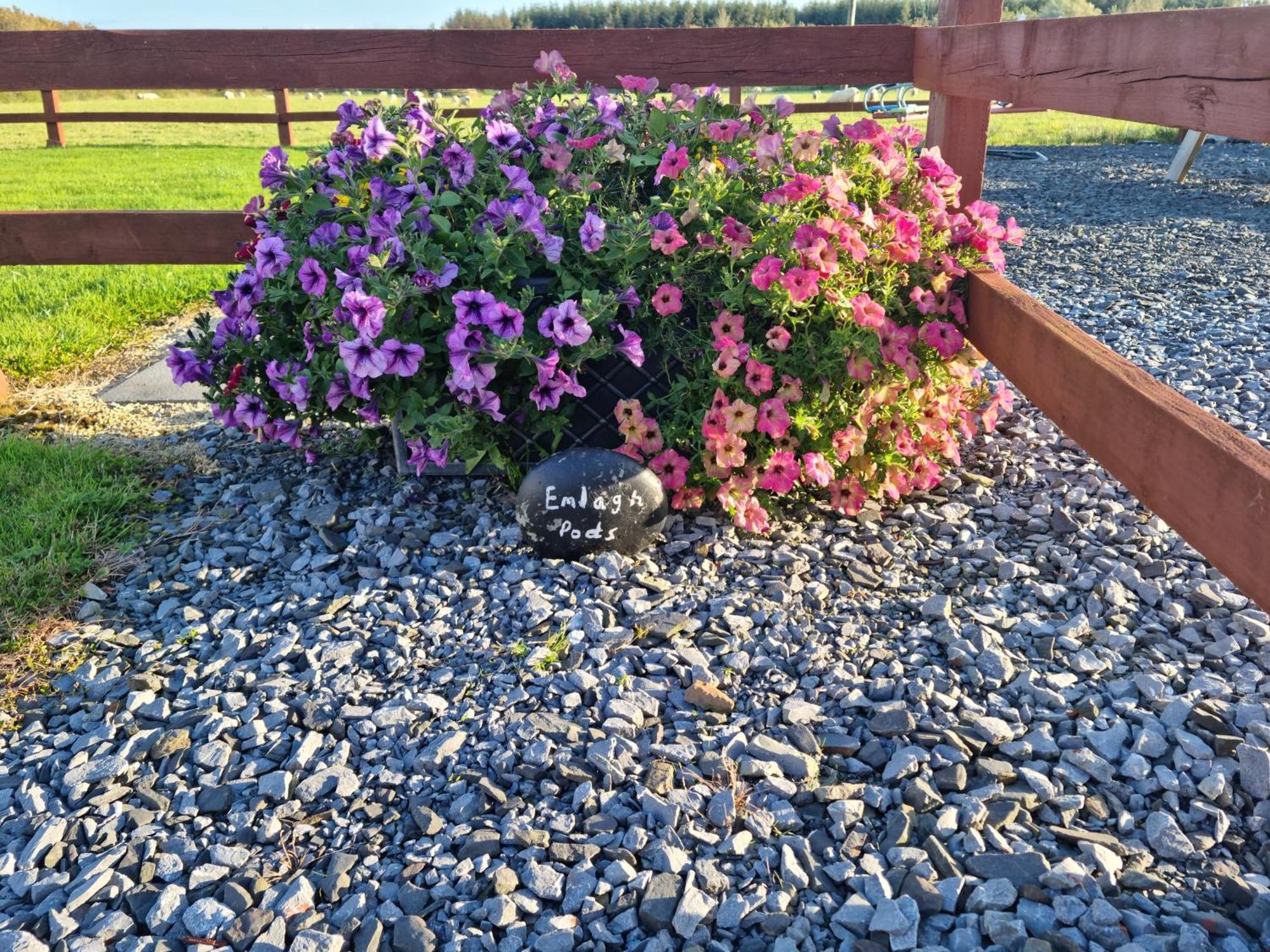 Emlagh, Self Catering Glamping Pods Villa Kilkee Dış mekan fotoğraf